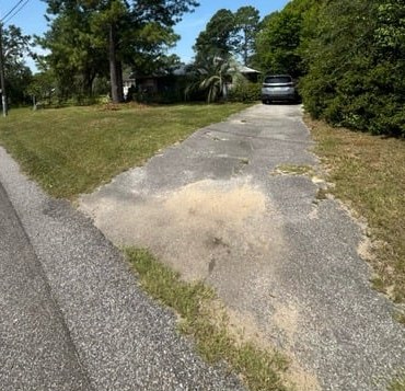 Cleared driveway after overgrowth removal