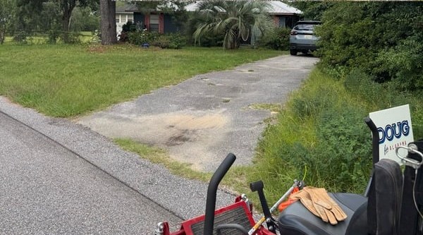 Driveway overtaken by overgrowth, before
