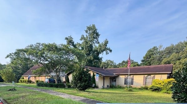 Overgrown yard before cleanup